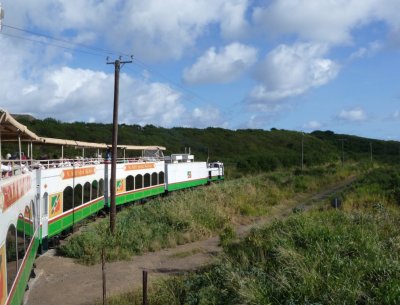 Narrow Gauge Railway