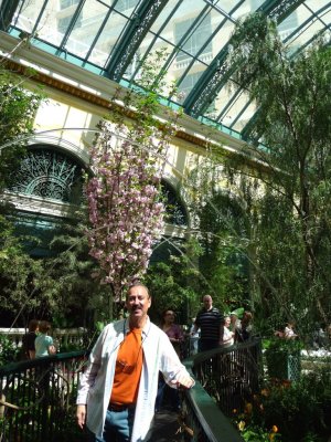 The Conservatory at the Bellagio
