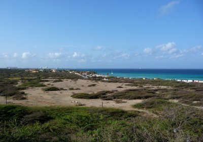 View from the California Lighthouse