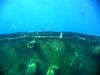 Shipwreck Antilla (WWII Freighter)