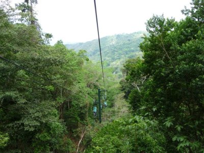 Heading Down on Tram