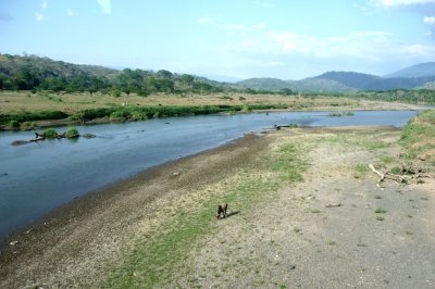 Crossing Tarcoles River
