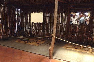 Pre-Columbian Lifestyle Display