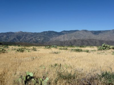 High Desert between Pheonix & Sedona, AZ.