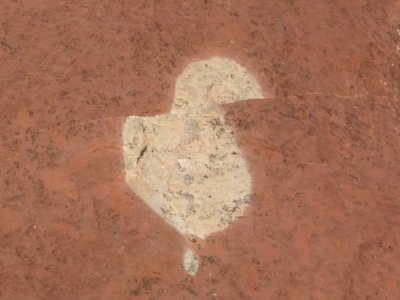 Fault Line on Submarine Rock