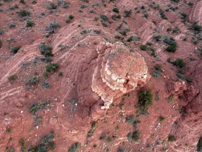 Directly Over One Hill of Cockscomb