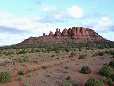Low Level View of Cockscomb