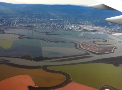 Flying Over San Francisco Mudflats