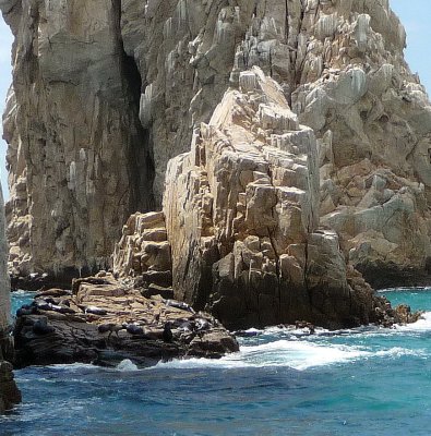 Sea Lions on Rock Formation, Cabo