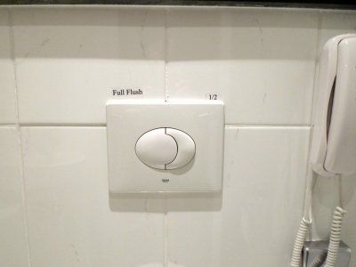 Flushing Choices in the Prague Hilton