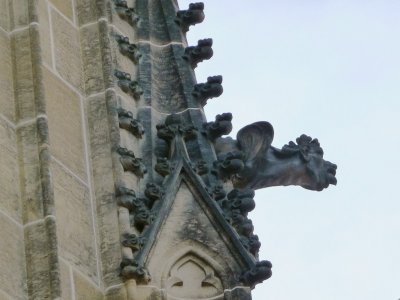 Gargoyles of St. Vitus's Cathedral