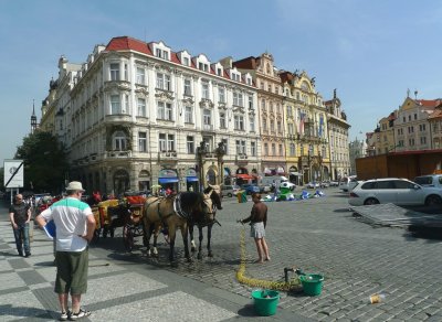 Washing Horses in Old Town Square in Prague