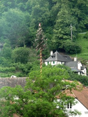 Maypole in Austrian Village