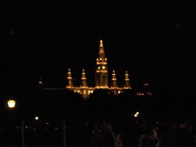 Vienna Town Hall at Night