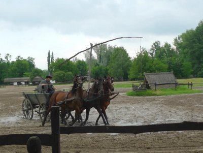 Hungarian 3-Horse Team Demonstration