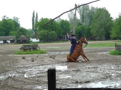 Hungarian Cowboy