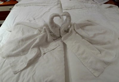 Towel Art for Our 23rd Anniversary