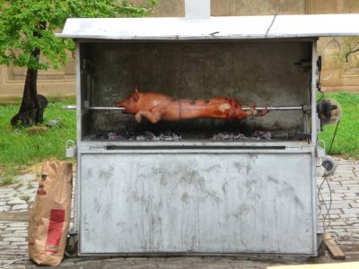 Pig Roast in Pecs, Hungary