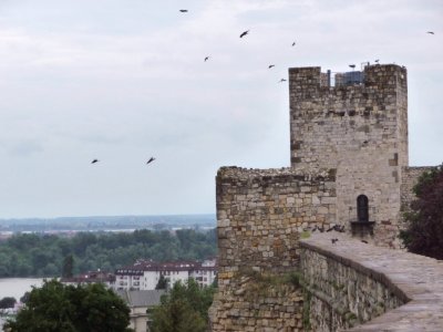 Walls of Kalemegdan Fortress, Belgrade