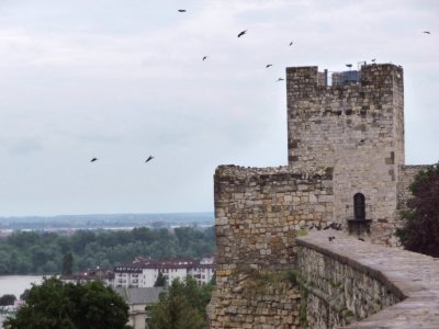 Walls of Kalemegdan Fortress, Belgrade