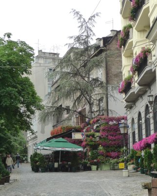 Flowers on Skadarlija Street in Belgrade