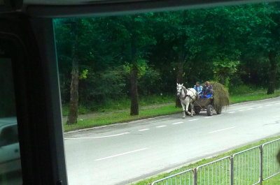 Horse Cart in a Fairly Large City