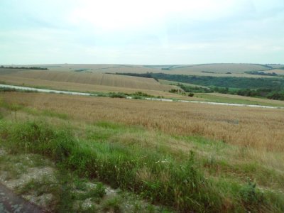 Bulgarian Farmland