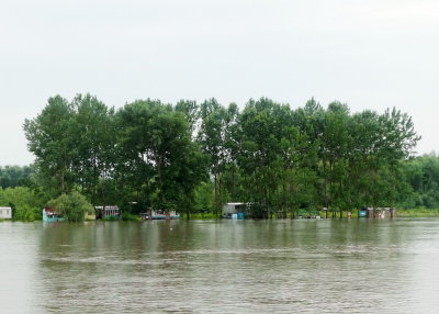 Danube Water Level Threatens Fish Camps