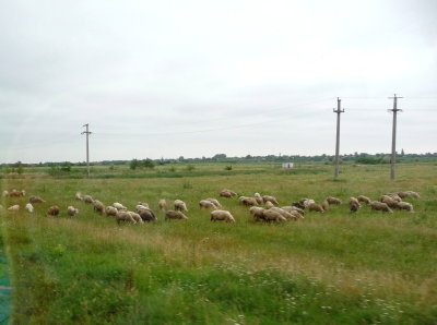 Driving Through the Romanian Countryside