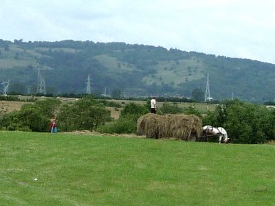 Harvesting Hay in Transylvania