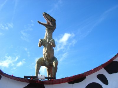 Velociraptor in Oranjestad, Aruba