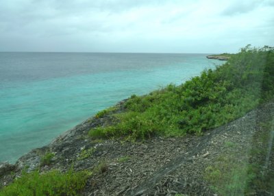 Looking at the Reef Off Bonaire's Coast