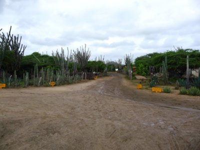 Outdoor Exhibit in National Park on Bonaire