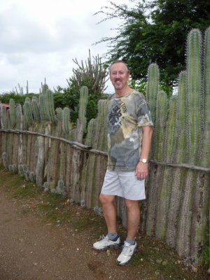 Bonaire Cactus Fence