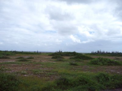 'Wild Side' of Bonaire