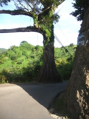 Narrow Road on Grenada