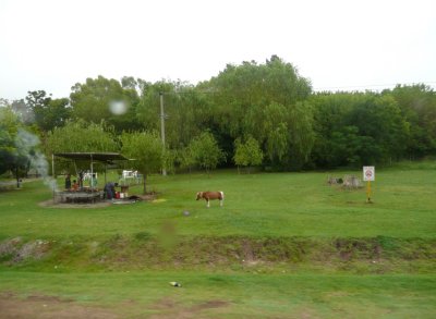 Argentinian Countryside