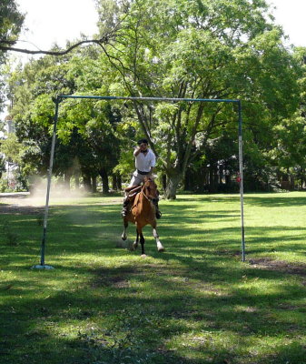 Another Gaucho Goes for the Ring