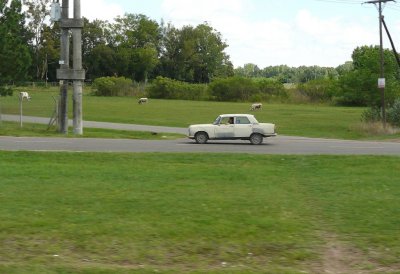 Russian? Car in Las Pampas Region