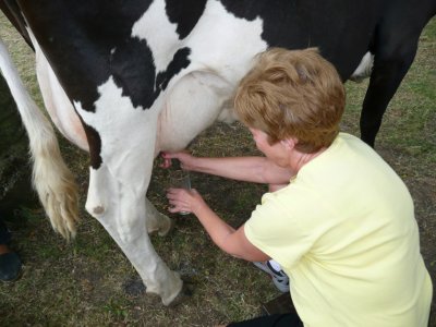 Susan Milks Her First Cow