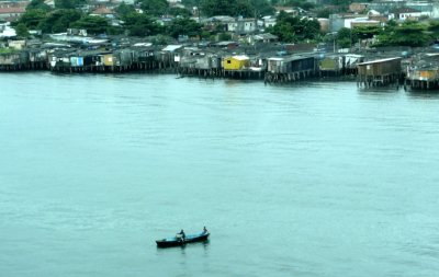 A Favela on the Estuary of Santos
