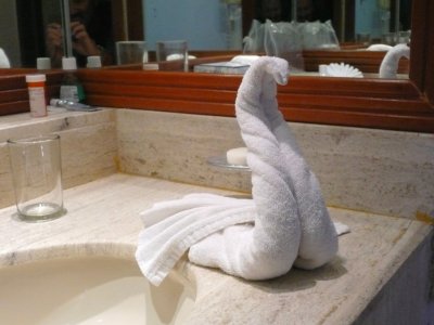 Towel Art in Bathroom