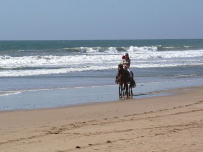 Horseback on the Beach