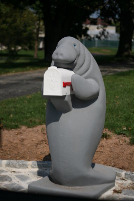 Fan mail from some flounder?