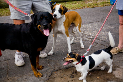 Happy campers at the RV park