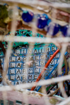 Magic Gardens 21