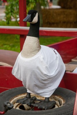 He lost his hat in the wind