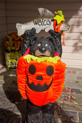 Pumpkin bear (and fish)