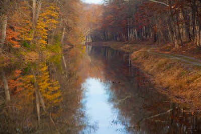 Delaware Canal and towpath