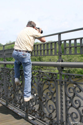 Vantage point at the Dad Vails